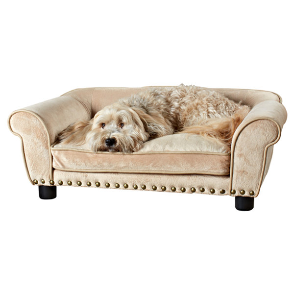 dog couch bed Interior Design Tips For The Best First Impression Aid